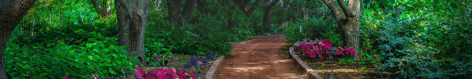 Coaching - Build on the Present & Activate Your Future